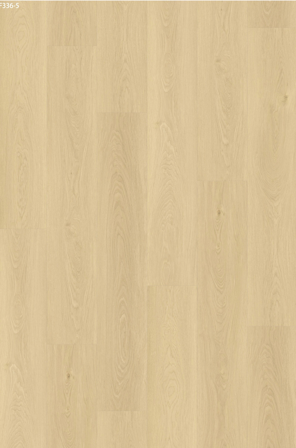 Cream Oak texture