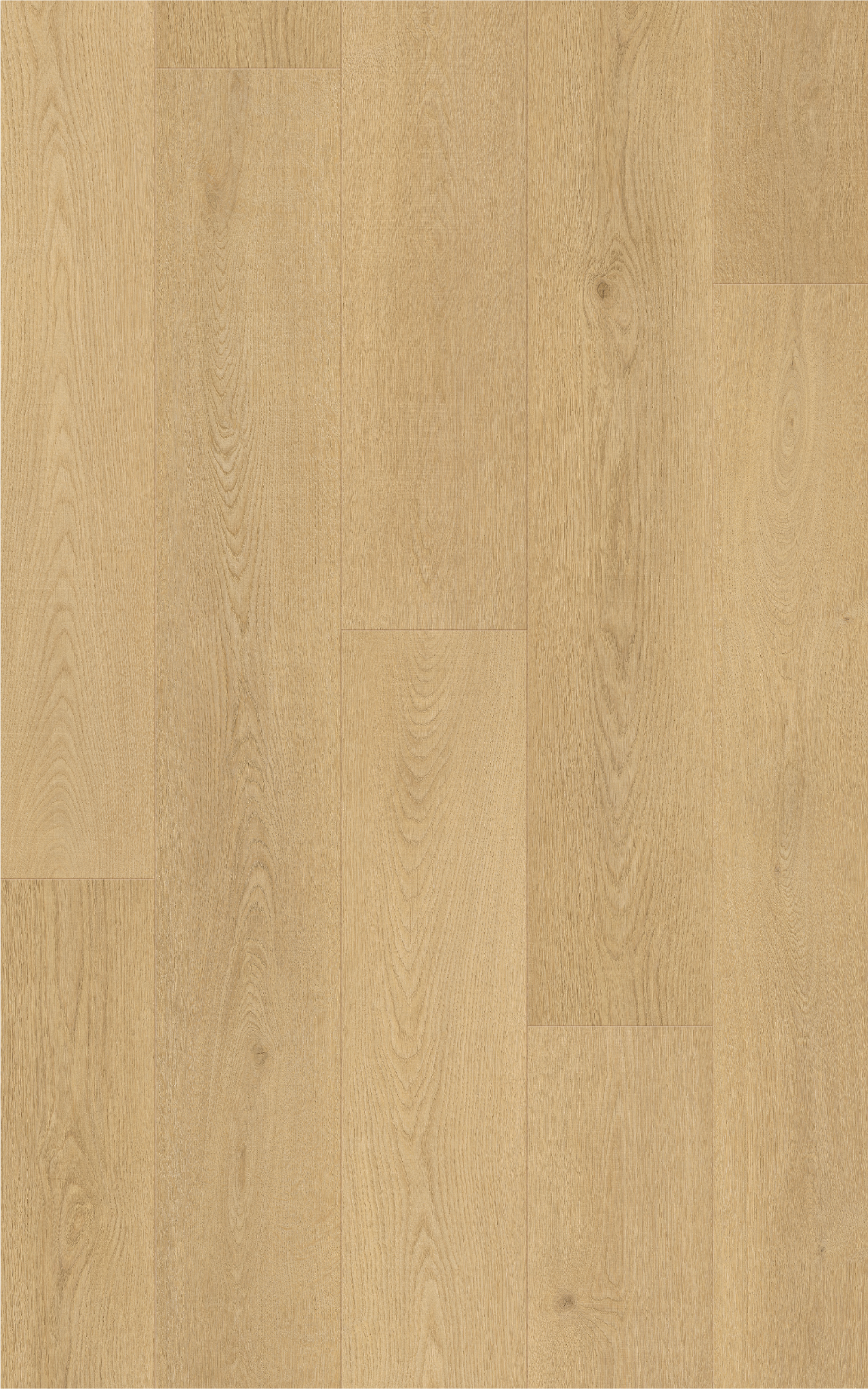 Natural Dune texture